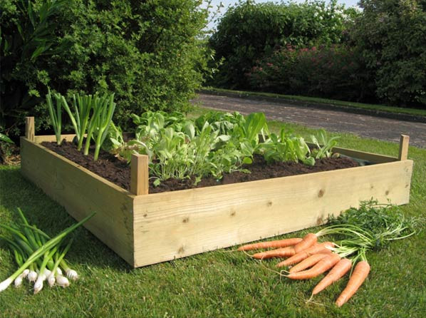 Building Raised Garden Boxes Interesting Ideas For Home