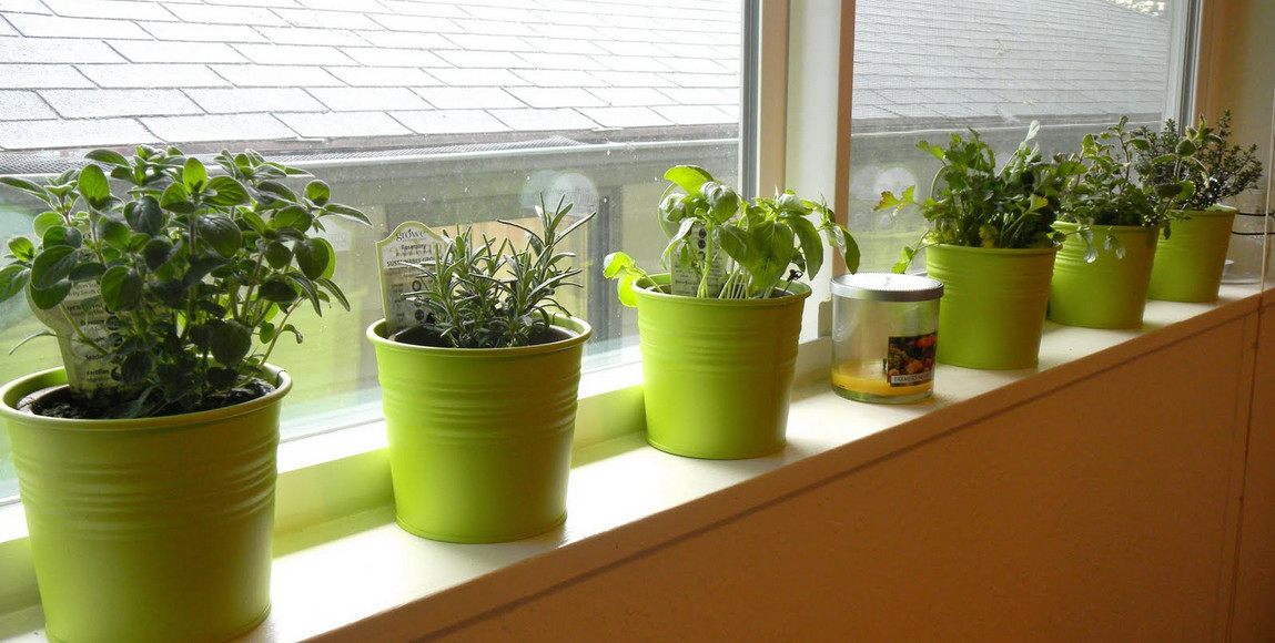 indoor container vegetable gardening