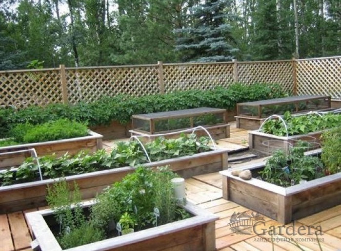 raised garden boxes for vegetables