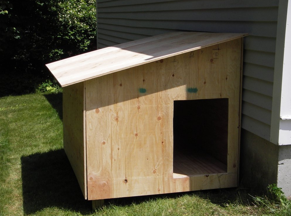Build your Own Dog Kennel  6