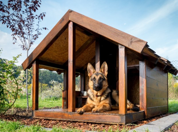 Build your Own Dog Kennel