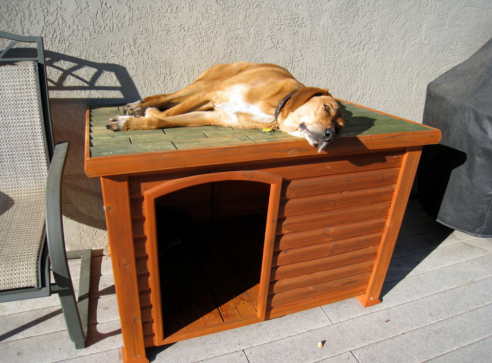 DIY Indoor Dog Kennel 2