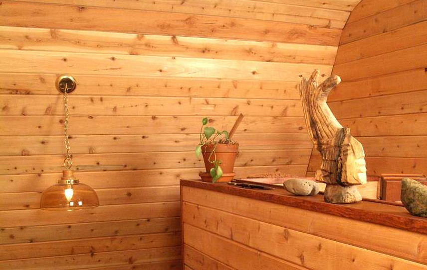 Interior Log Cabin Paneling2